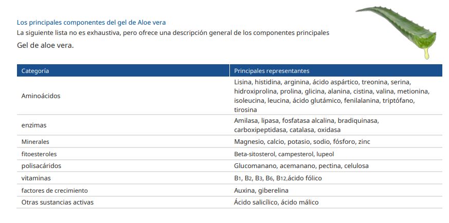 componentes gel aloe vera